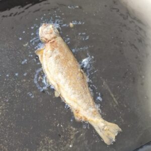 IMG-20251004-WA0005(1)