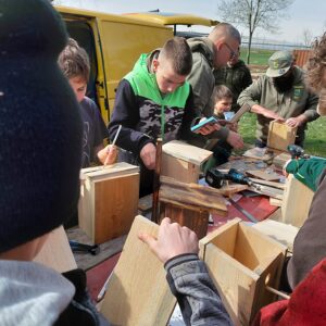 WhatsApp Image 2026-03-28 at 16.41.31