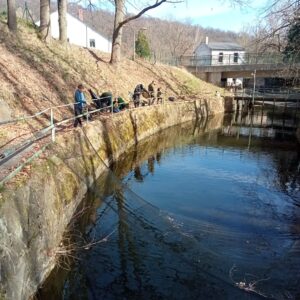 WhatsApp Image 2026-03-28 at 18.39.04