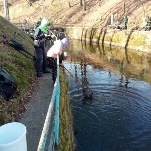 WhatsApp Image 2026-03-28 at 18.39.05